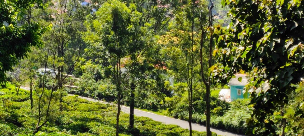 Adithya Sunrise View Cottage Kotagiri Ngoại thất bức ảnh